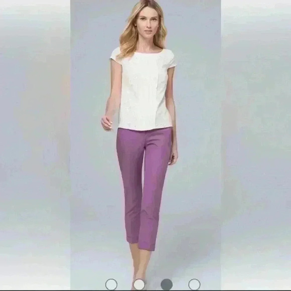 WHBM  NWT The slim crop pants size 6 - Picture 11 of 11
